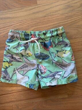Carter's Mint Green Shark & Fish Swim Shorts